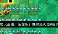 《植物大战僵尸杂交版》魅惑毁灭菇6通关攻略